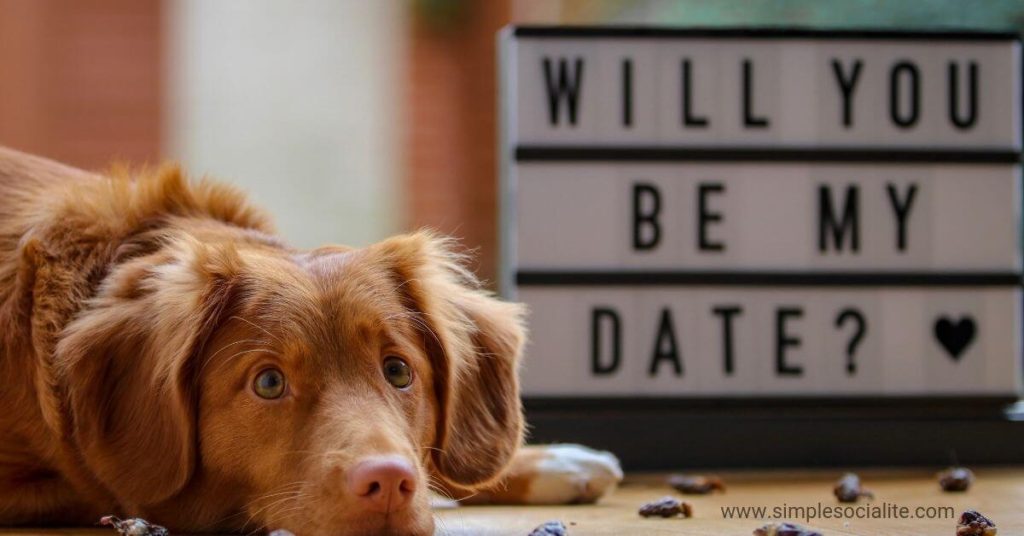 Dog laying down next to a sign asking, "Will you be may date?"